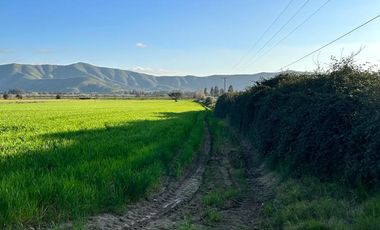 Excelente ubicación terreno agrícola Melipilla