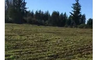Terreno 5000 mt2 en Los Ángeles, Chile