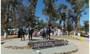 Terreno plano 9.800 m2 a 3 cuadras de Plaza de armas Olmué.