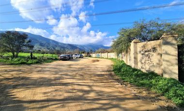 Terreno plano 9.800 m2 a 3 cuadras de Plaza de armas Olmué.