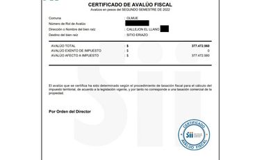 Terreno plano 9.800 m2 a 3 cuadras de Plaza de armas Olmué.