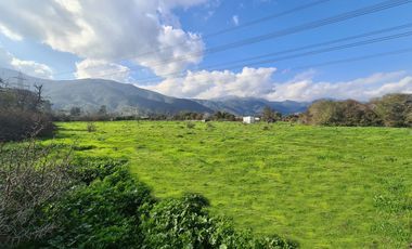 Terreno plano 9.800 m2 a 3 cuadras de Plaza de armas Olmué.