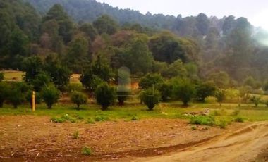 Terreno en Venta en Tlaxcala Puebla