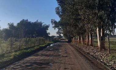 EN VENTA TERRENO FÉRTIL PARA PRODUCCIÓN CON CASA CONSTRUIDA
