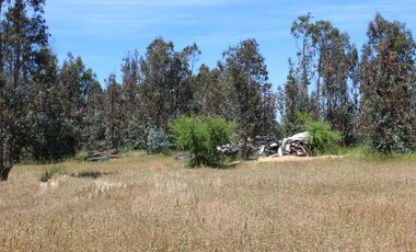 EN VENTA TERRENO FÉRTIL PARA PRODUCCIÓN CON CASA CONSTRUIDA