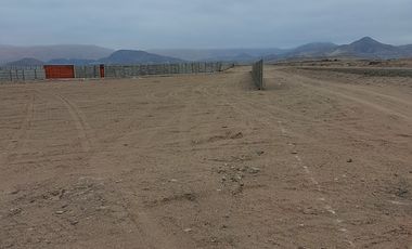 PARCELA INVERSION CAMINO GALLEGUILLOS