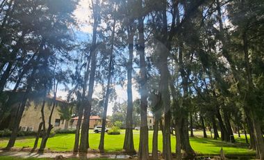 Terreno residencial en venta en Pueblo Domingo de Muñoz Arenas