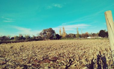 VENTA PARCELA  SECTOR TIUQUILEMU