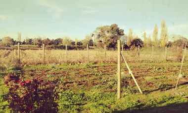 VENTA PARCELA  SECTOR TIUQUILEMU