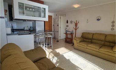 Departamento en Arriendo en Costa Pingueral