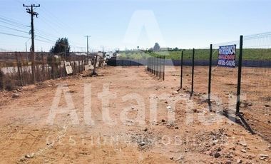 Terreno Construccion en Arriendo en Al lado de Granja eliana, camino antiguo a Ovalle.