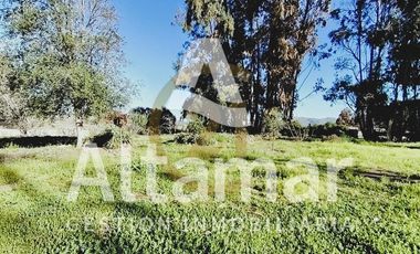 Parcela en Arriendo en ENTRE CONDOMINIO CEBADA Y FUNDO LORETO