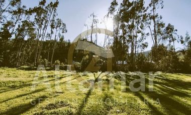 Parcela en Arriendo en ENTRE CONDOMINIO CEBADA Y FUNDO LORETO