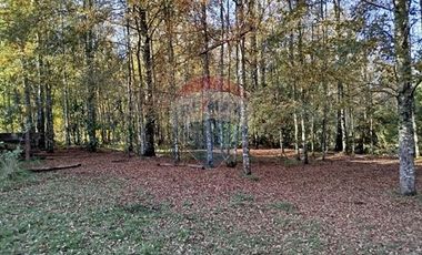 Parcela con 2 casas en Villarrica - Panguipulli