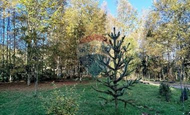 Parcela con 2 casas en Villarrica - Panguipulli