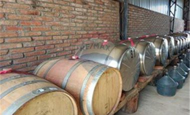 Exclusiva Parcela con Viñas y Olivos