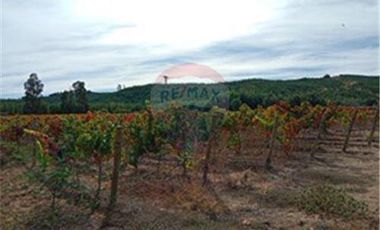 Exclusiva Parcela con Viñas y Olivos