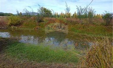 Exclusiva Parcela con Viñas y Olivos