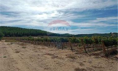 Exclusiva Parcela con Viñas y Olivos