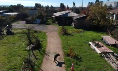 TERRENO EN ACCESO A MAULE, 2.400 M2