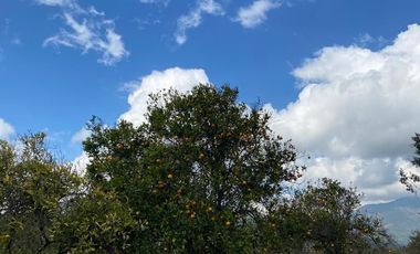 Venta Casa en Parcela en Olmué