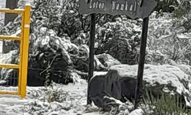 VILLA PELUCA