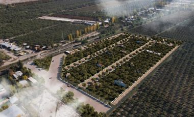 Terreno en  Venta