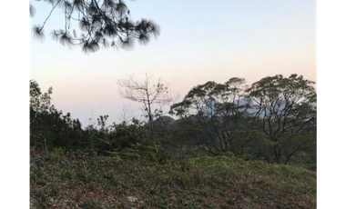 Se Vende Terreno Altos de María 1541.79 Mt2 Titulado