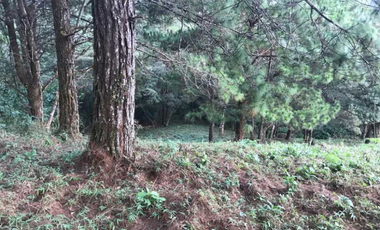 Se Vende Terreno Altos de María 1541.79 Mt2 Titulado