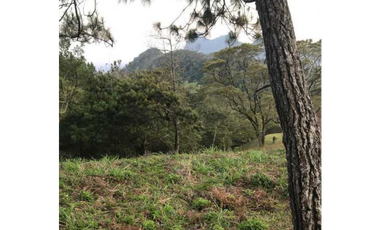 Se Vende Terreno Altos de María 1541.79 Mt2 Titulado