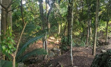 Duplex Villa Tucan - Privacidad en las afueras de Tarapoto