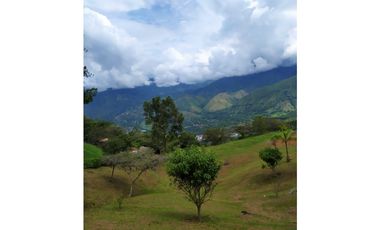 Excelente lote para construir tu finca o casa de descanso!!