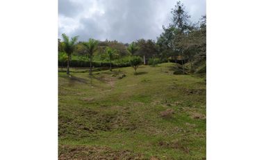 Excelente lote para construir tu finca o casa de descanso!!