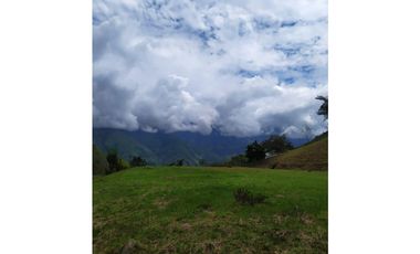 Excelente lote para construir tu finca o casa de descanso!!