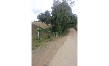 Lote a borde de vía Pereira Armenia, Condina