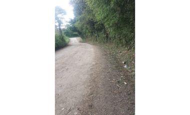 Lote a borde de vía Pereira Armenia, Condina