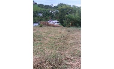 Lote a borde de vía Pereira Armenia, Condina