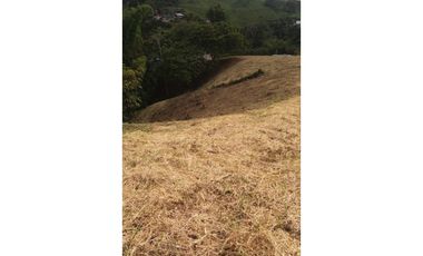 Lote a borde de vía Pereira Armenia, Condina