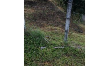 Lote a borde de vía Pereira Armenia, Condina