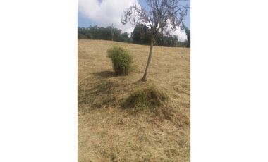 Lote a borde de vía Pereira Armenia, Condina