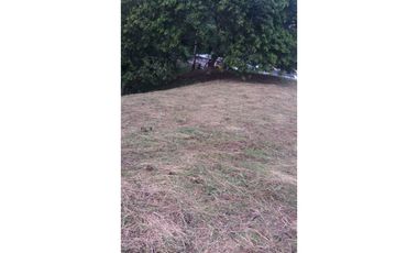 Lote a borde de vía Pereira Armenia, Condina