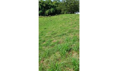 Lote a borde de vía Pereira Armenia, Condina