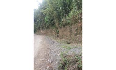 Lote a borde de vía Pereira Armenia, Condina