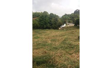 Lote a borde de vía Pereira Armenia, Condina