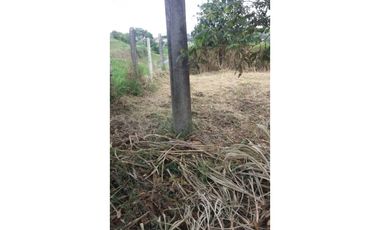 Lote a borde de vía Pereira Armenia, Condina