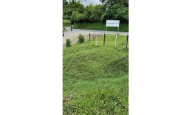 Lote a borde de vía Pereira Armenia, Condina