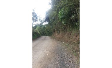 Lote a borde de vía Pereira Armenia, Condina