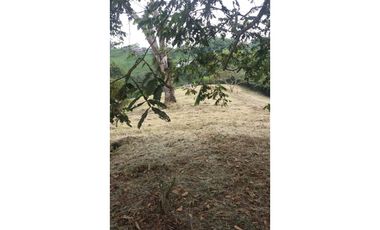 Lote a borde de vía Pereira Armenia, Condina