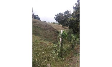 Lote a borde de vía Pereira Armenia, Condina