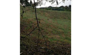 Lote a borde de vía Pereira Armenia, Condina